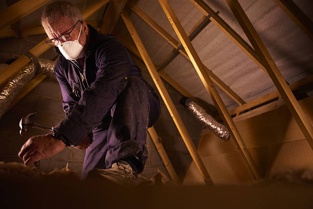 Best Commercial Insulation in Ladera Heights, CA
